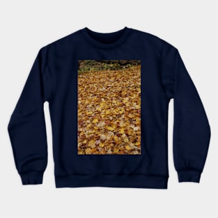 Fall Into Fall Crewneck Sweatshirt